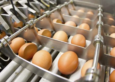 Egg-Factory-iStock_000019402623Large